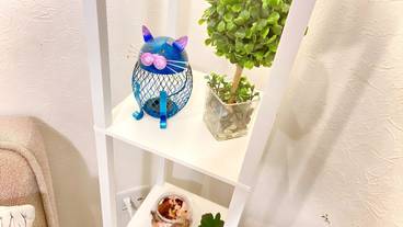 リビング エリア / 25