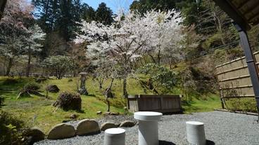 テラス / パティオ / 31