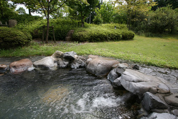 5.森のホテル ロシュフォール3482516