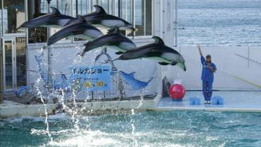 観光スポット / 5