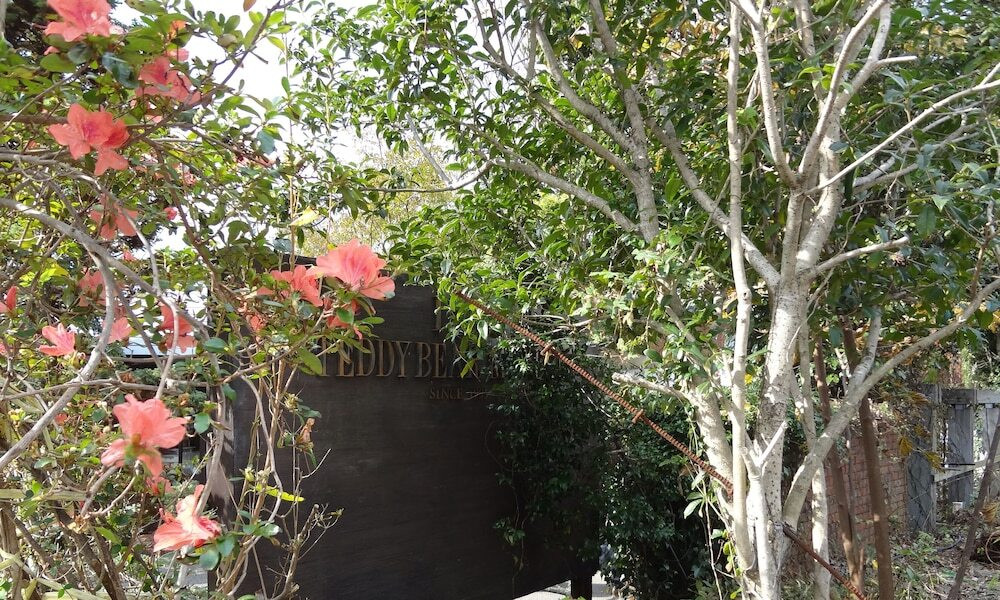 子供用の遊び場 - 屋外