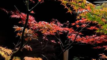 部屋からの景観 / 35