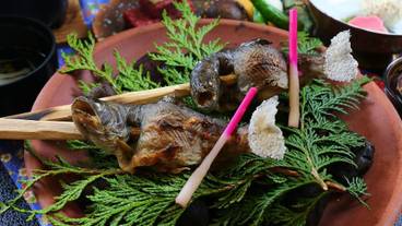 旅館のお食事処 / 14