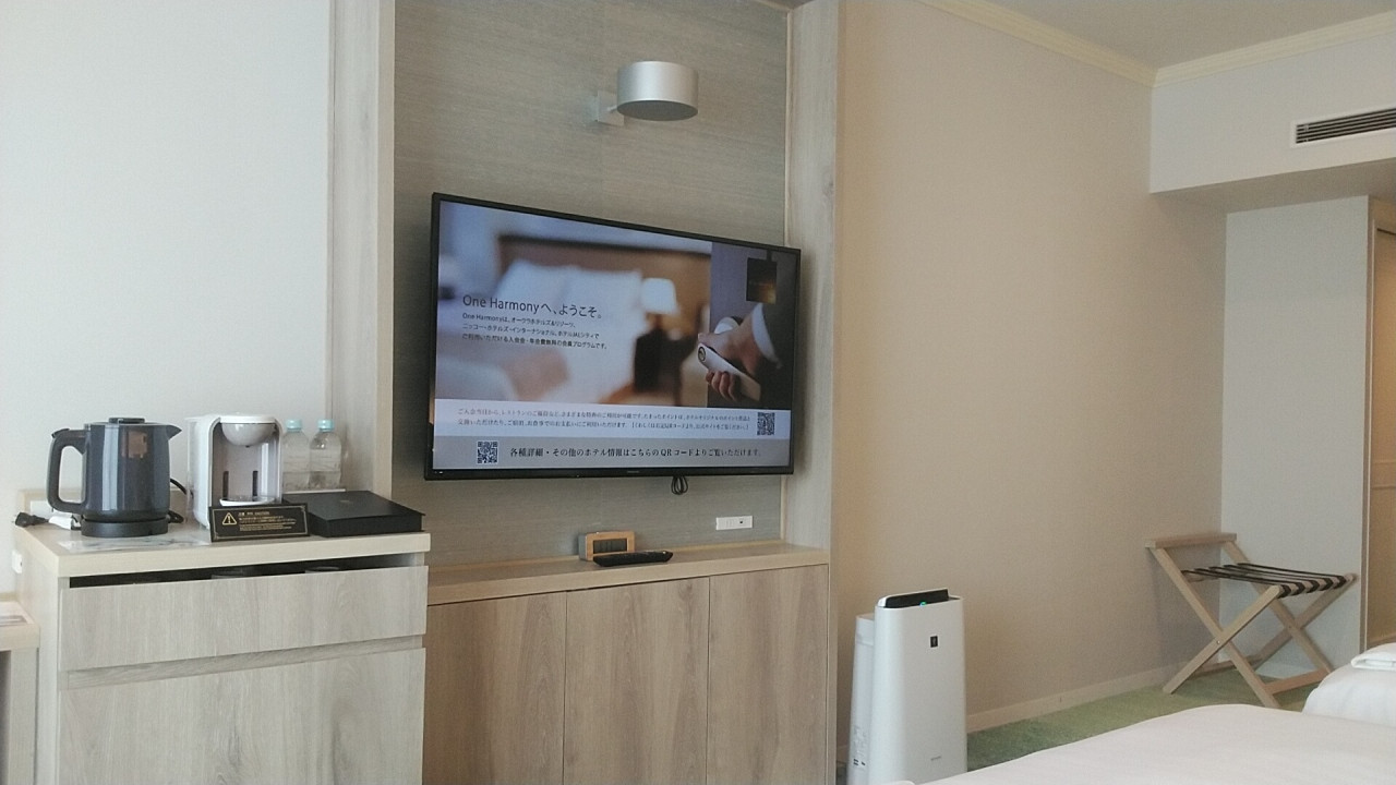 テレビはユーチューブも見られました