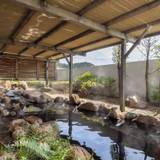 露天温泉の岩風呂 / 1