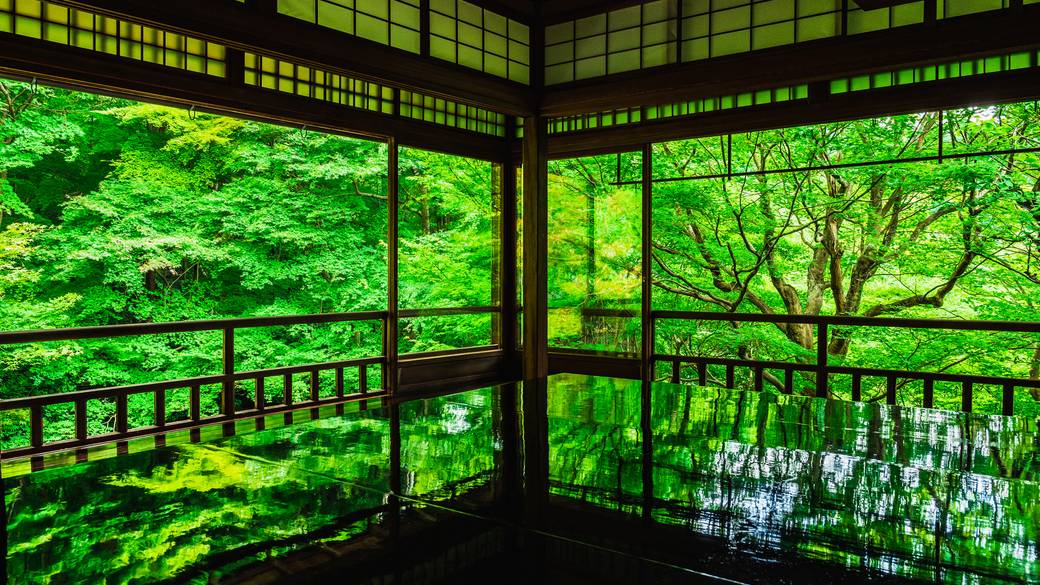 新緑の瑠璃光院 / 1