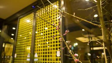 施設の入り口 / 13