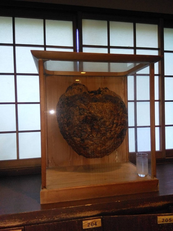 スズメバチの巣が飾ってあった