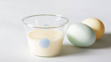 レストラン / 15