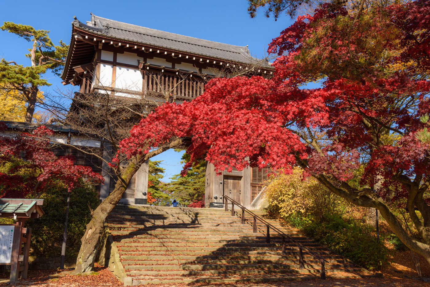千秋公園の紅葉