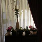 ロイヤルガーデンホテル（徳島県）（徳島県 ビジネスホテル） / 3