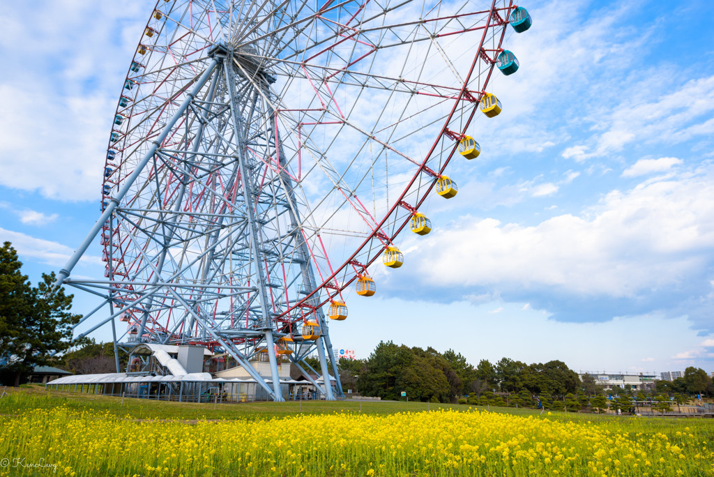 4. 葛西臨海公園1153058