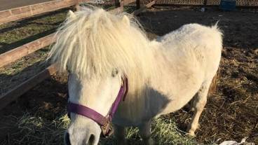 施設の敷地 / 11