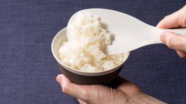 朝食ビュッフェ / 6