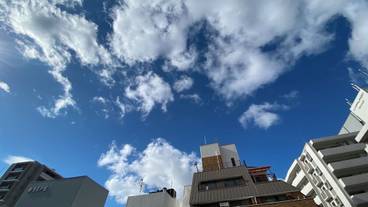 バルコニーからの眺望 / 13