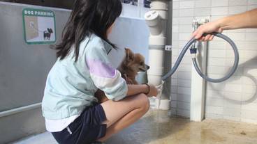 客室 / 21