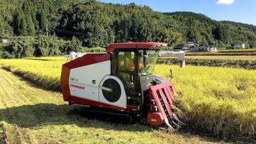 シティ ビュー / 21