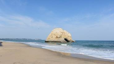 施設からの眺望 / 14