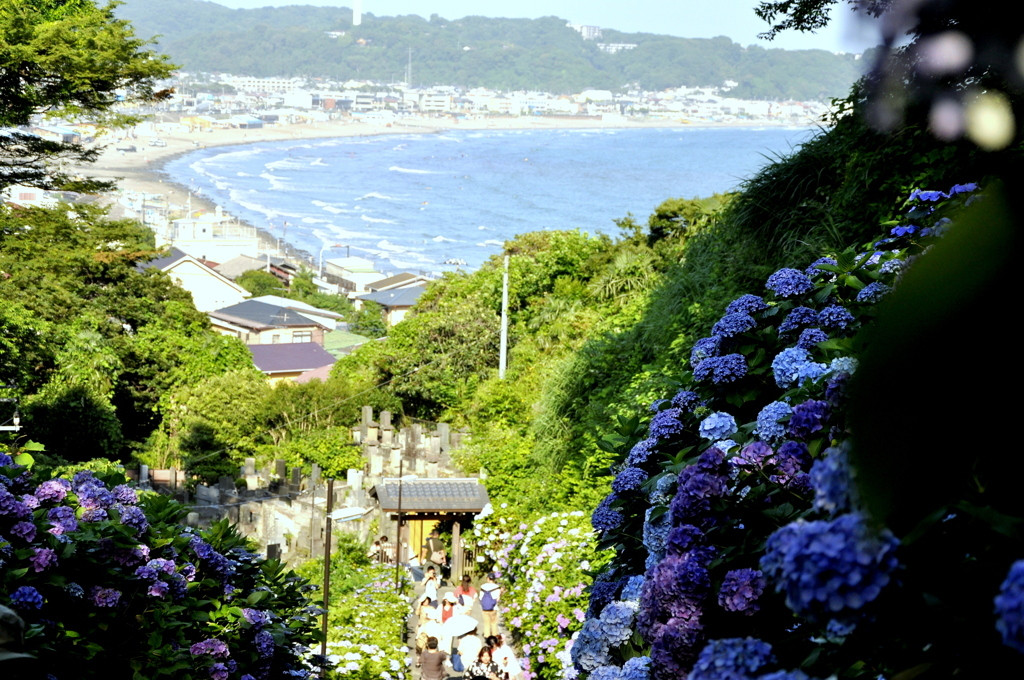 自然に神社仏閣、グルメなど見どころたっぷりの「江ノ島」＆「鎌倉」3997022