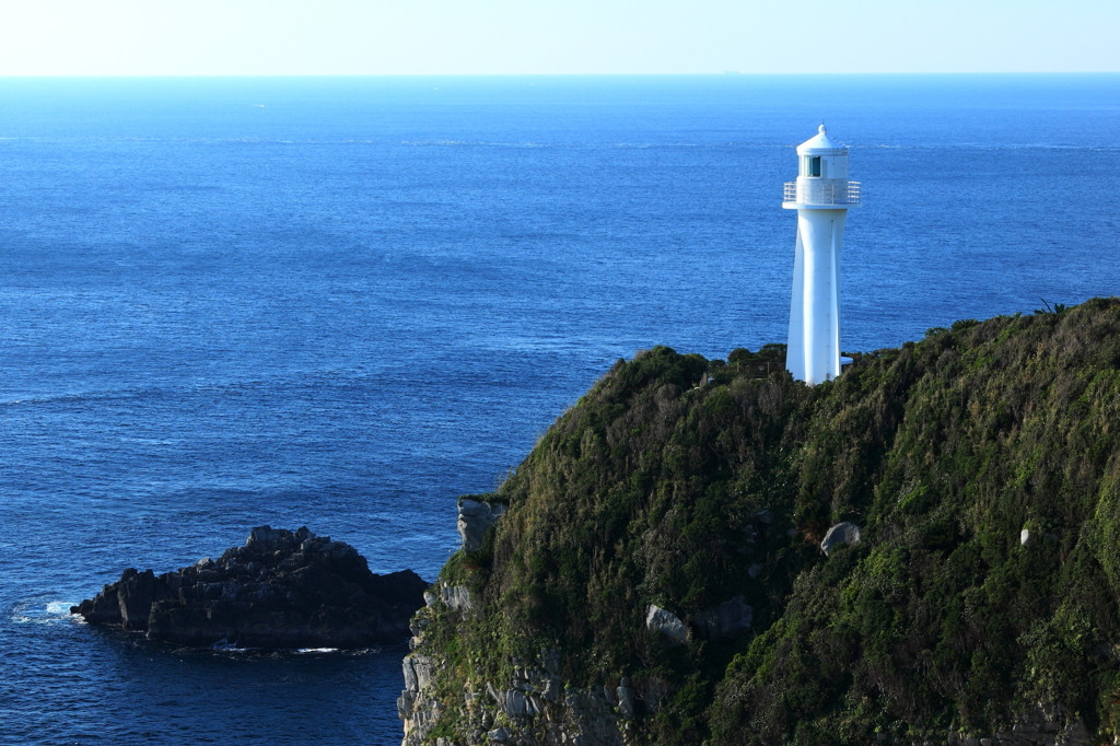 高知県に行ったら地元グルメのカツオは外せない！3847816