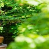 ホテル内のオブジェ / 2