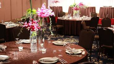 ボールルーム / 13