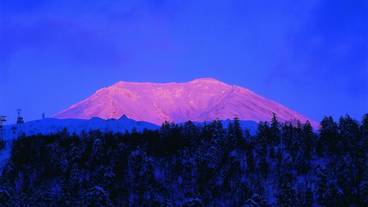 観光スポット / 7