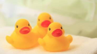 子供向けアクティビティ / 2