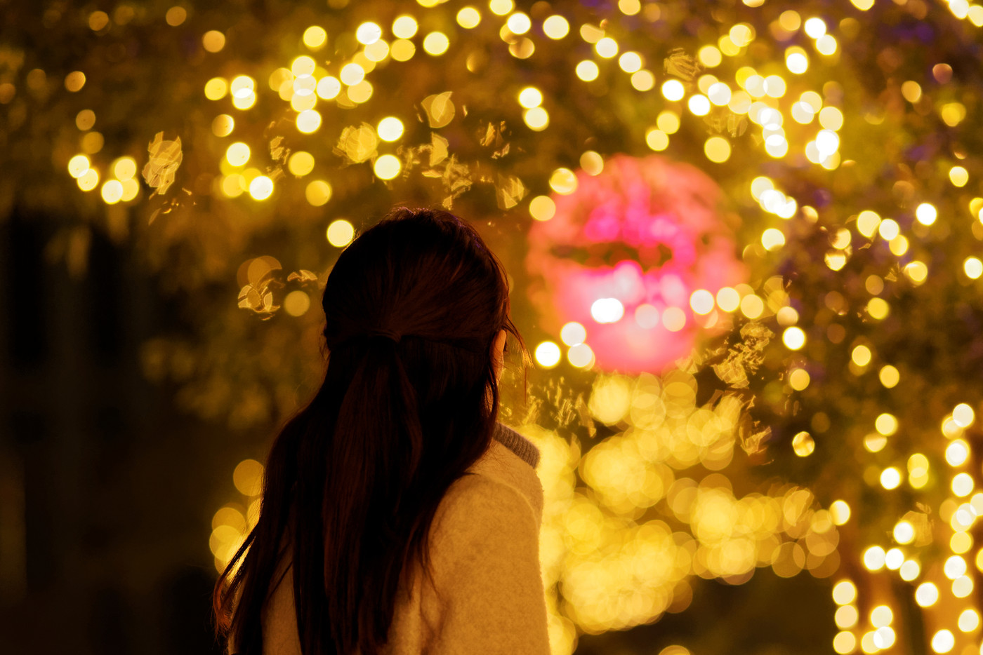 ロマンチックな時間に浸る冬旅へ4574920