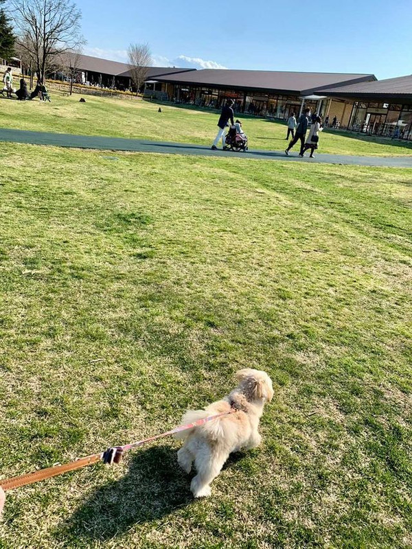 nicomaru1219さんの写真 / 1