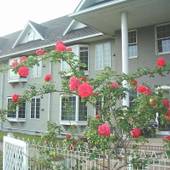 コンドミニアム スクウェアヒルズ（栃木県 別荘・ヴィラ・コンドミニアム） / 4