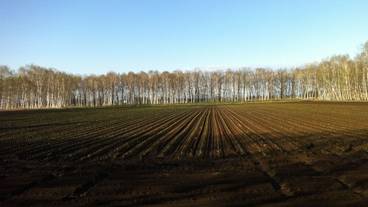 施設からの眺望 / 26