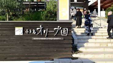 子供用の遊び場 - 屋外 / 10