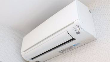 客室の設備とサービス / 11