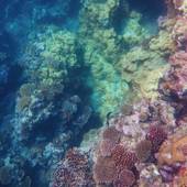 Blue Ocean Resort(沖縄県 旅館) / 2