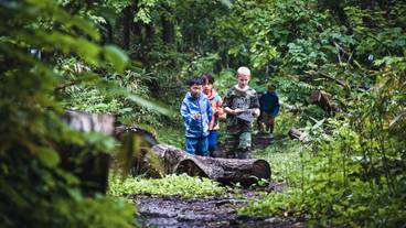 子供向けアクティビティ / 10