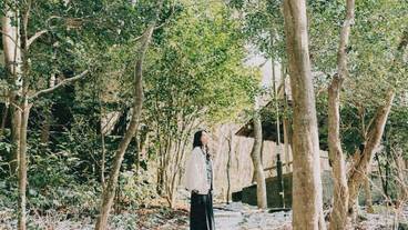 ハイキング / 13