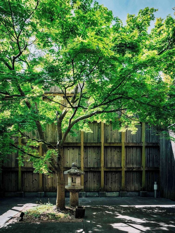 テラス / パティオ