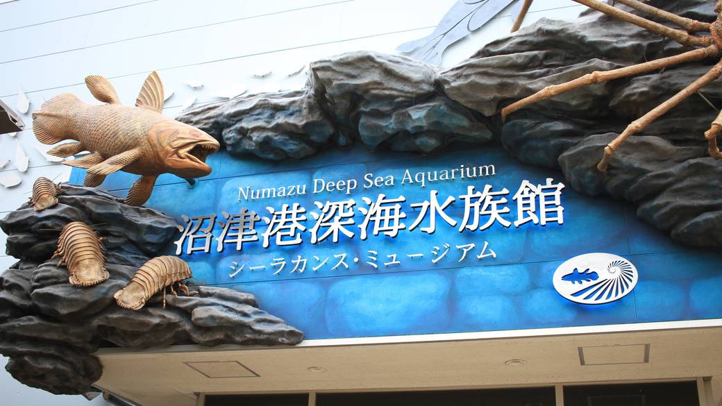 沼津港深海水族館 / 4