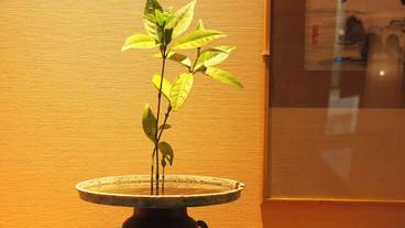 建物のデザイン / 3