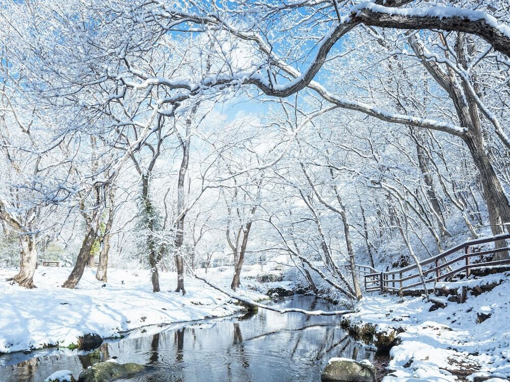 大自然×リゾート！の新感覚ホテルで、心身をリフレッシュ3699248