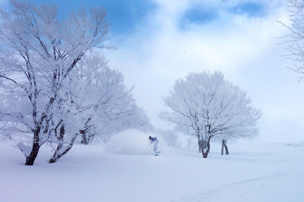 スノー スポーツとスキー