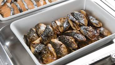 食事・飲み物 / 11