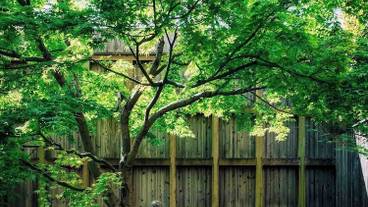 テラス / パティオ / 31