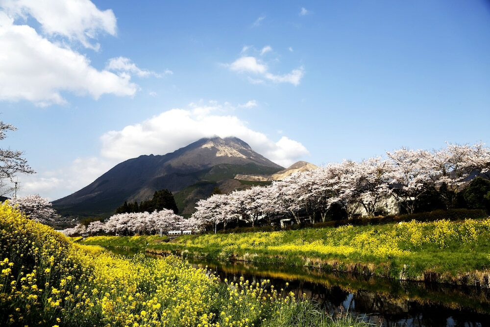 施設からの眺望