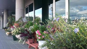 施設の敷地 / 12