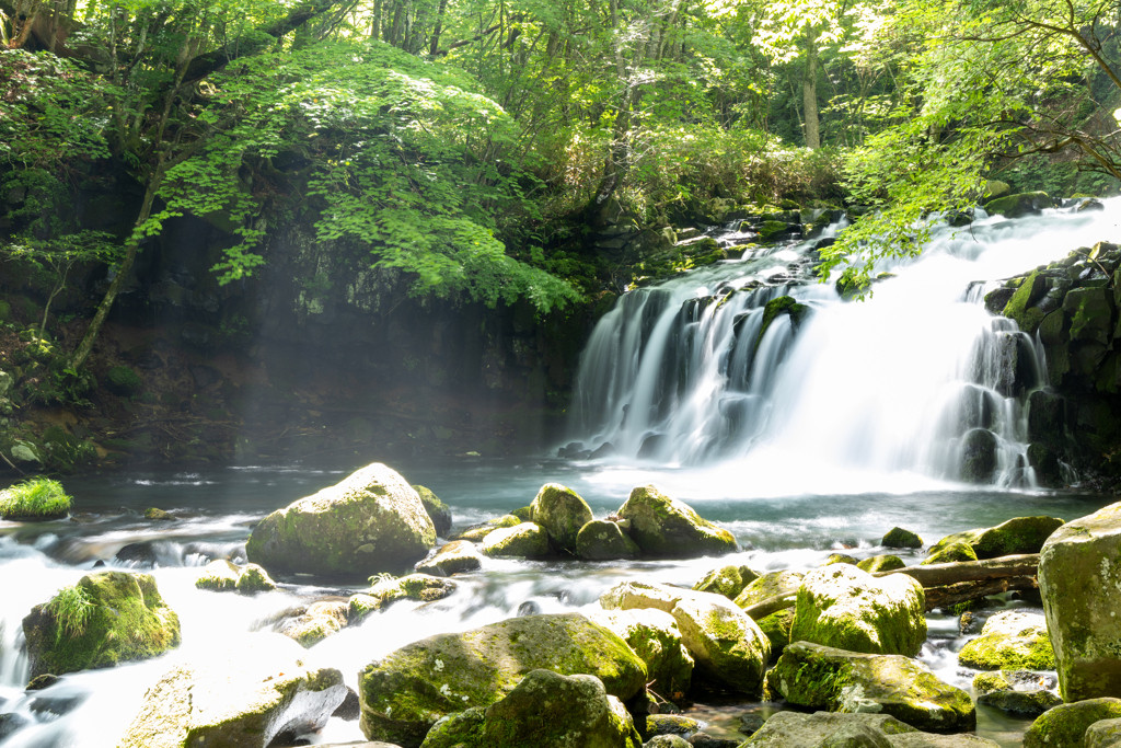 美しい滝を見たり、ロープウェイで空中散歩をしたり……大自然を満喫！4239334
