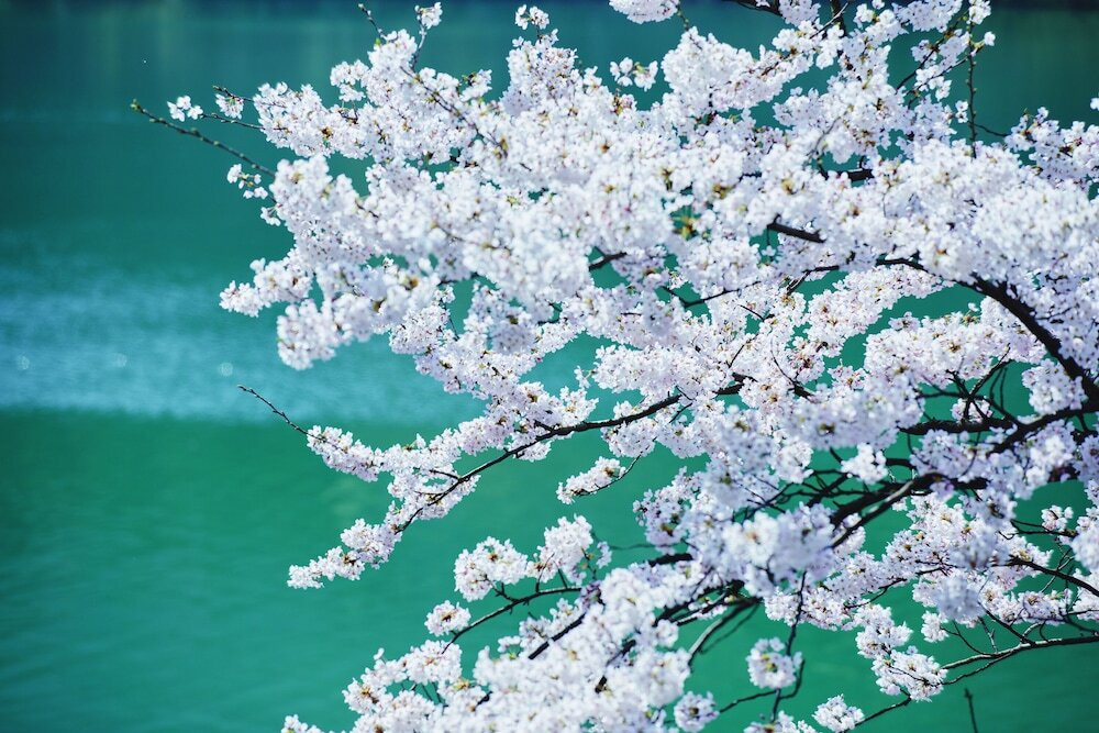 湖