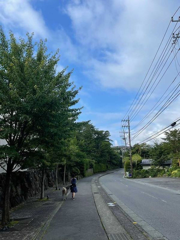 aoblue_._さんの写真 / 2