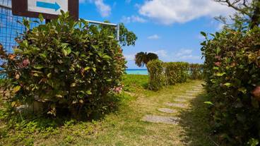 施設の敷地 / 13